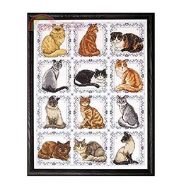 12 cats counted cross stitch kits 14 ct,12 cats, cross stitch kit 220x299 points, 20x25 cross stitch