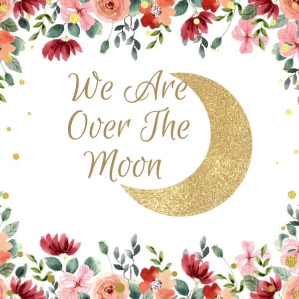 We Are Over The Moon: Baby Shower Guest Book Moon