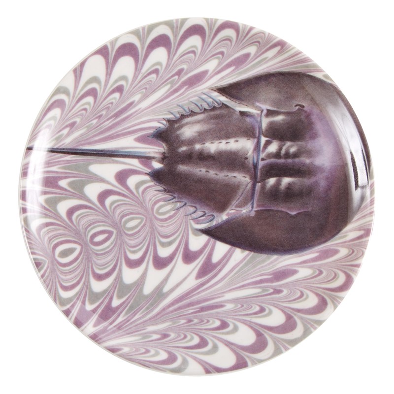 Palm Beach Coasters S/4 Assorted