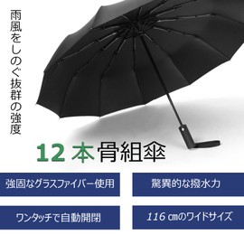 Men's Folding Umbrella, Parasol, Umbrella with 12 Ribs, Reinforced for Typhoons, One-Touch Automatic Open/Close, Black