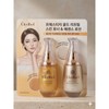 Cledbel Gold Lifting Skin Toner Essence Lotion Set 110ml each / 끌레드벨 골드 리프팅 스킨토너 에센스로션 세트 각110ml