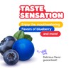 Gumballs for Gumball Machine - Berry Mix 1 Inch Bubble