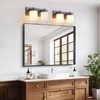 BrkNit 2 Light Modern Bathroom Light Fixtures Over Mirror, Bronze