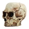 Skull Head Flower Pot Resin High Strength Clear Shape Skull