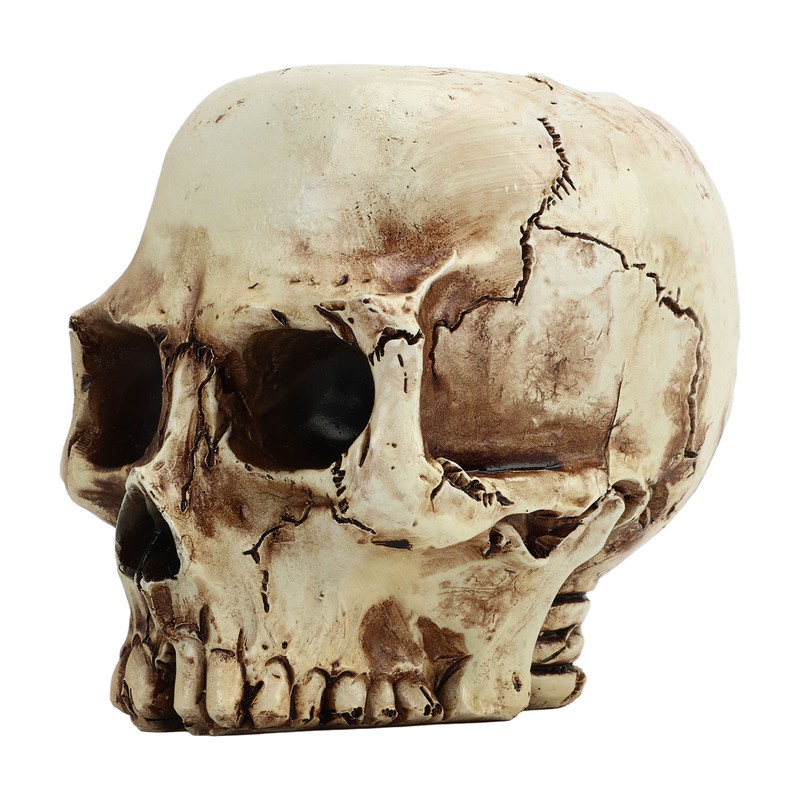 Skull Head Flower Pot Resin High Strength Clear Shape Skull