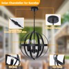 MOUFIER Solar Pendant Light,3-Light Globe Outdoor/Indoor Solar Chandelier,Black Metal Orb