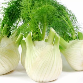 Back To Nature Seed Company Fennel - Seeds - Organic - Non Gmo - Heirloom Seeds – Herb Seeds  - 5 Seeds