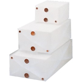 6 Gal Water & Holding Tank