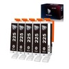 Wolfgray Compatible 225 PGBK Black Ink Cartridges Replacement for Canon