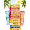 Burt's Bees Lip Balm Variety Pack -12 Count Assorted Flavors,