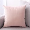 CXTAI 2x Pink Velvet Cushion Covers Decorative Square Throw Pillow