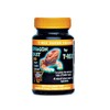 T-Rex Bearded Dragon Supplement - Calcium Plus