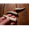 Real Antler Tip Wall Hooks Screw into Wood or Drywall