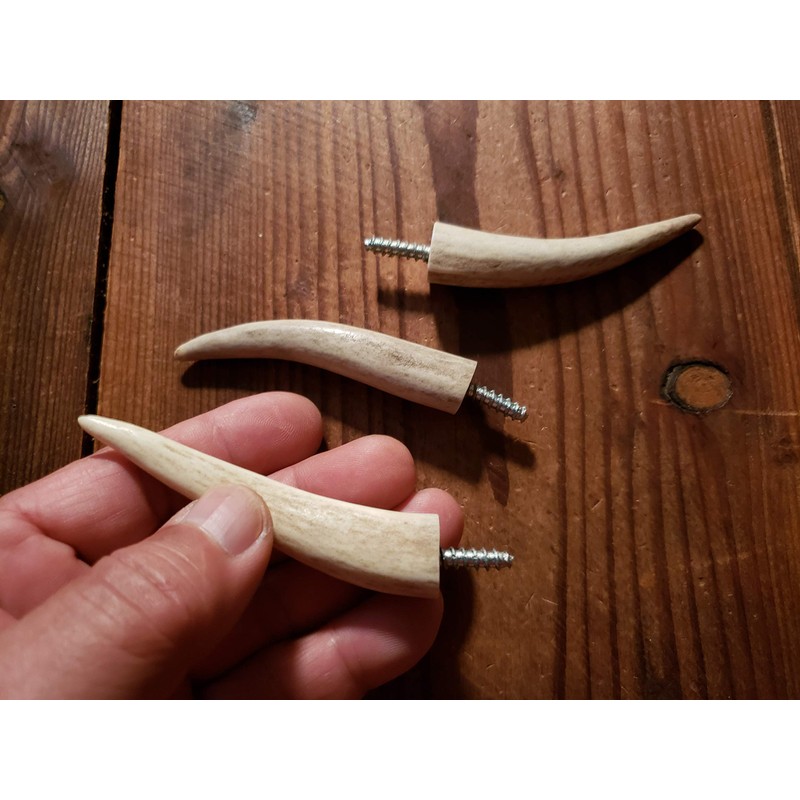 Real Antler Tip Wall Hooks Screw into Wood or Drywall