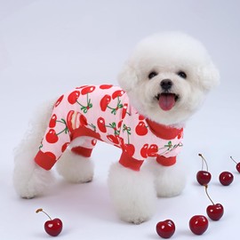 XPUDAC 4 Pieces Dog Pajamas for Small Dogs Boy Girl Soft Stretchy Pjs Onesies Puppy Clothes for Dog Cat Pet Outfits, L