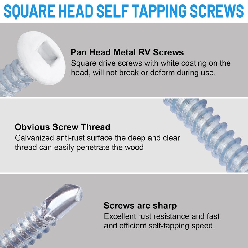 8 x 5/8" RV Square Head Screws White Self Tapping