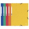 Exacompta 55025E Premium Portfolio Folder Made of Colorspan Cardboard DIN