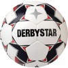 DERBYSTAR BRILLANT TT AG Soccer Ball, No. 5 Ball, IMS