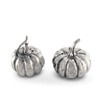 Vagabond House Pewter Harvest Pumpkin Salt and Pepper Metal Shaker
