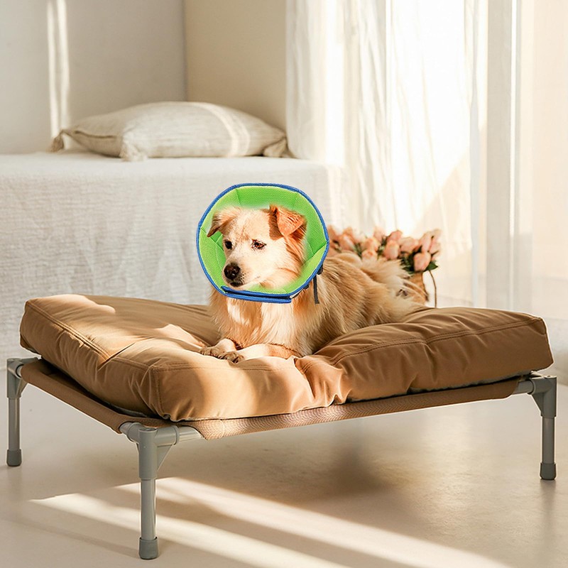 CMD Elizabeth Collar for Dogs and Cats, Breathable Adjustable Soft