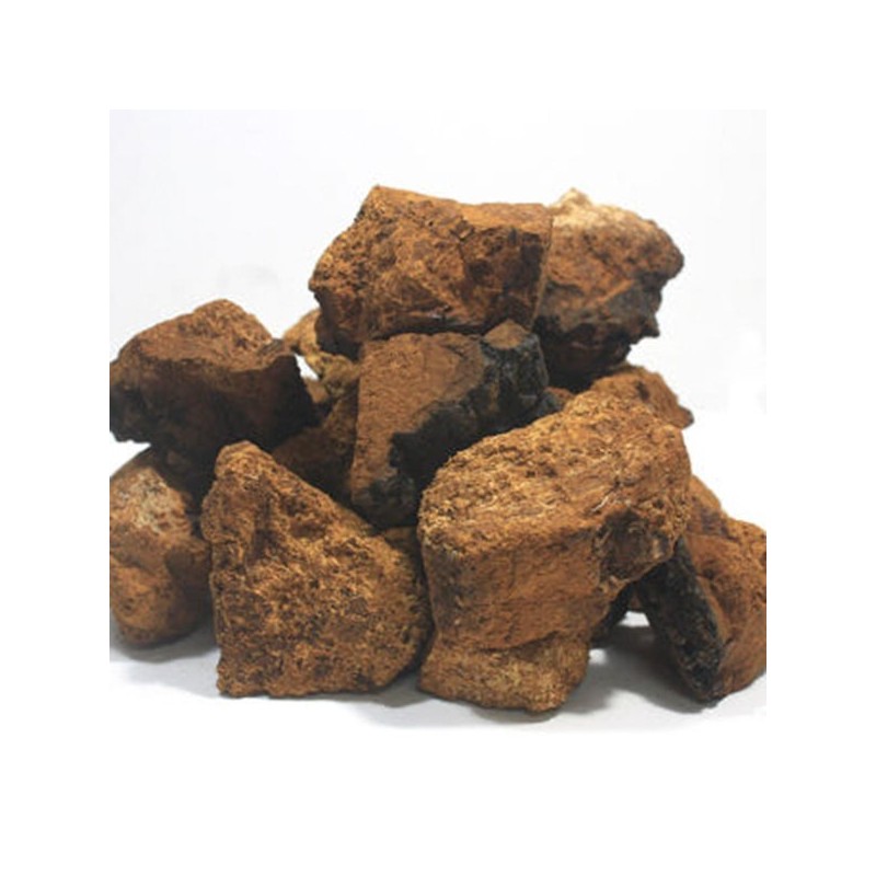 차가버섯환 차가버섯 환 250g Chaga Mushroom Powder 250g