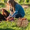 LGENHOOM Round Handwoven Water Hyacinth Egg Basket, Egg Collecting Basket,