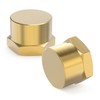 GASHER 3/8"NPT Brass Pipe Cap, NPT Female Thread Socket Pipe