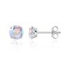 Limerencia Hypoallergenic G23 Titanium Earrings, F136 Implant Grade Pure Titanium,