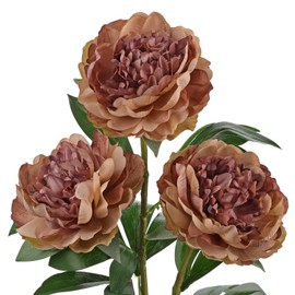 Briful 3PCS Faux Peony Flower Stems, 25.5" Artificial Peony Flowers Realistic Fake Flowers for Vase Arrangements Wedding Centerpieces Decoration(Brown)