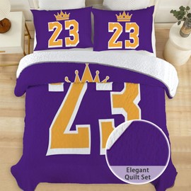 Allenjoy Queen Size Purple Warriors Quilt Bedspreads Basketball Legends Bed Set Bedding Coverlet Fabric Washable with 2 Pillowcases SC00296-007