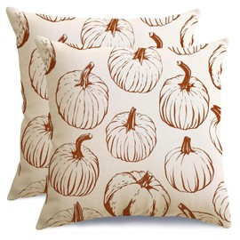 RABUSOFA Fall Pillow Covers 16x16 inch Set of 2 Fall Decorations Orange Lines Pumpkin Decor White Autumn Cushion Covers Outdoor Thanksgiving Decoration for Home Couch