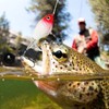 Swim Baits for Bass Fishing,Propeller Dynamic Lifelike Glide Bait |