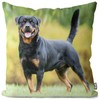 VOID Rottweiler Cushion Cover Sofa Cushion Decorative Outdoor Cushion Decorative