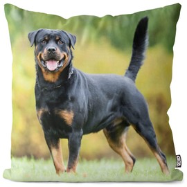VOID Rottweiler Cushion Cover Sofa Cushion Decorative Outdoor Cushion Decorative Cushion Size: 40 x 40 cm