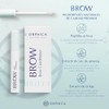 ORPHICA BROW Acondicionador de cejas, Serum acelerador de crecimiento de