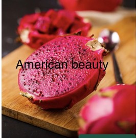 Dragon Fruit '' American Beauty  Pitaya Rare Live Cutting 8-12 inch