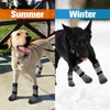 EXPAWLORER Anti Slip Dog Socks to Prevent Licking Paws -