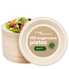 HAAGO Sugarcane Bagasse Disposable Plates for Birthdays, Weddings, Parties -