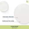 Biolage Scalpsync Clean Reset Normalizing Shampoo 400ml