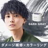 Gatsby The Designer Color Butter Dark Gray Hair Color Gray