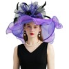 ZYACTU Women's Organza Church Kentucky Hat Fascinato Wedding Cocktail Tea