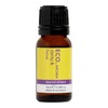 ECO. Modern Essentials Clarity & Focus Essential Oil Blend, 10ml