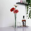 Small Glass Bud Vase Transparent Tapered Small Waist Thick Bottom