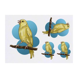 4 x 'Perched Yellow Canary' Temporary Tattoos - Water Resistant, Skin-Safe, Non-Toxic Transfers, Mixed Sizes (TO00052469)