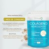 BIOSUPLE | Colágeno Hidrolizado adicionado con Ácido Hialuronico, Semilla de