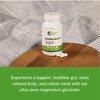 Healthy Gut Magnesium-HP | Ultra Pure Glycinate with Zero Fillers