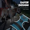 VIVAGLORY Easefit Dog Harness for Walking Hunter & Training, No