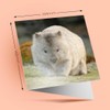 1 x Greeting Card Cute Wombat Australia Animal - Blank