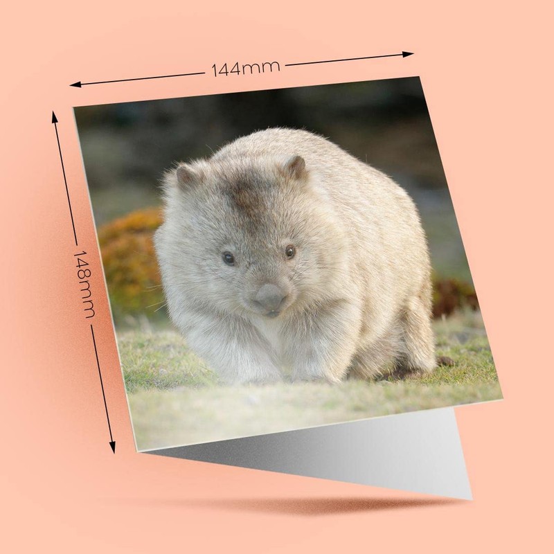 1 x Greeting Card Cute Wombat Australia Animal - Blank