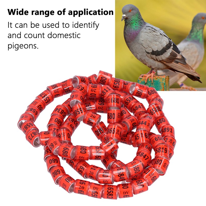 100Pcs 8mm Pigeon Leg Bands Aluminum Alloy Non Competition Recognizable